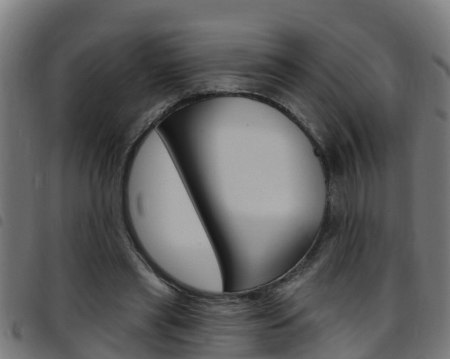 X0000097790445200803070939