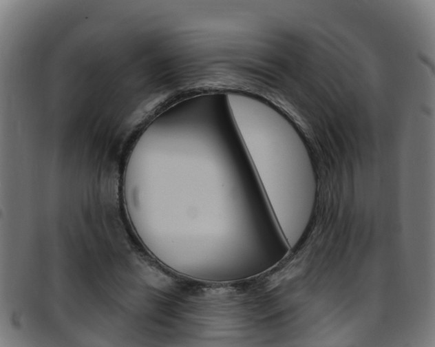 X0000097790446200803070939