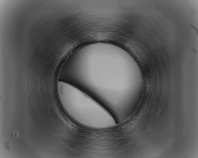X0000097790447200803070939