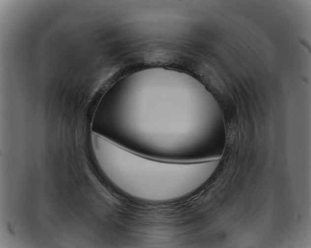 X0000097790448200803070939