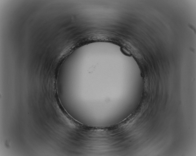 X0000097790449200803070939