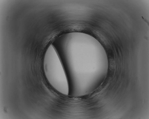 X0000097790451200803070939