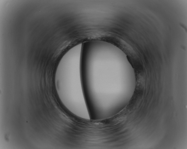 X0000097790452200803070939
