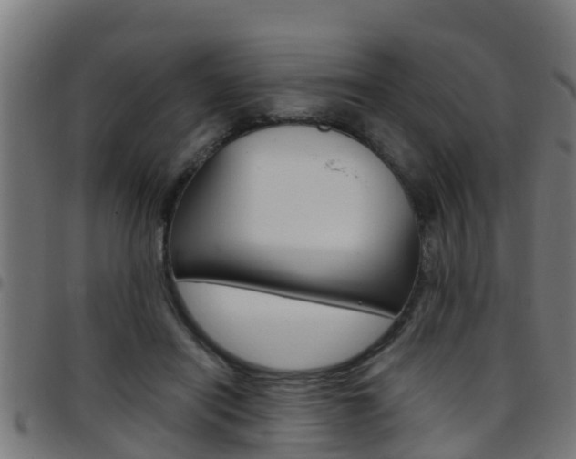 X0000097790454200803070939