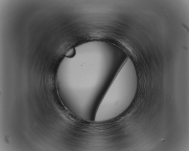 X0000097790455200803070939