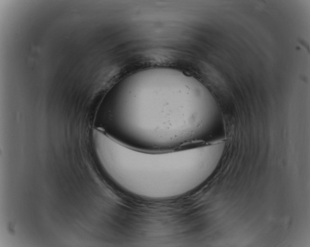 X0000097790456200803070939