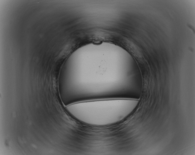 X0000097790457200803070939
