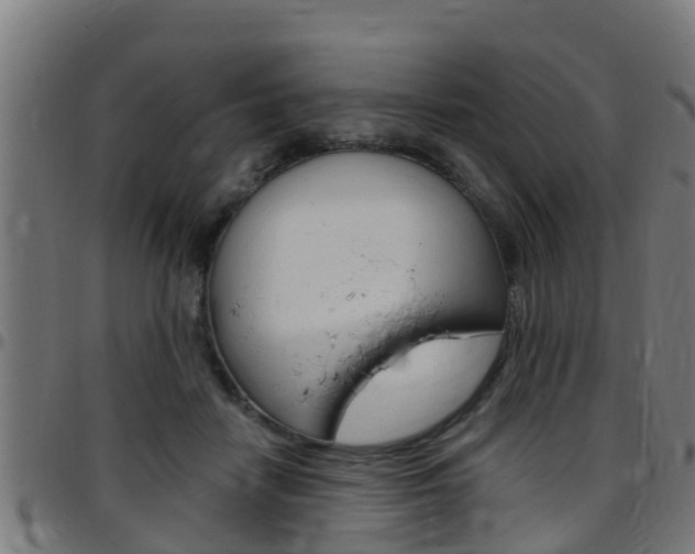 X0000097790458200803070939