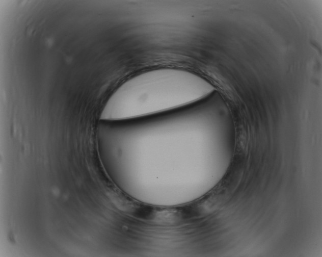 X0000097790461200803070939