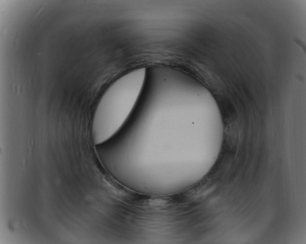 X0000097790462200803070939