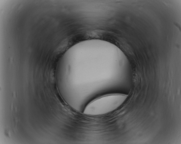X0000097790466200803070939