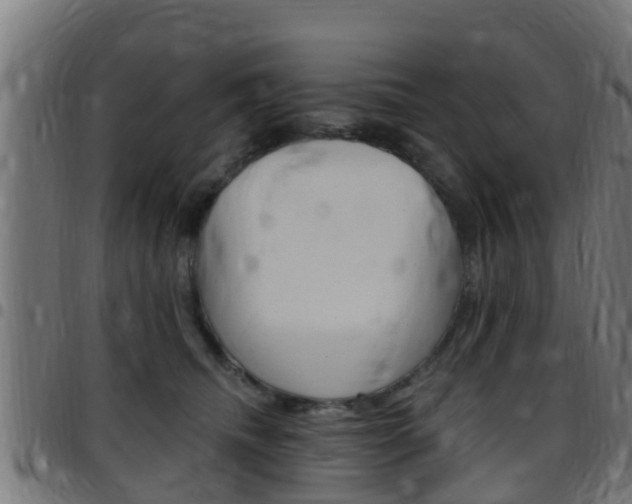 X0000097790468200803070939