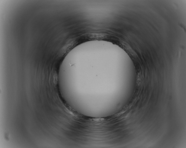 X0000097790474200803070939