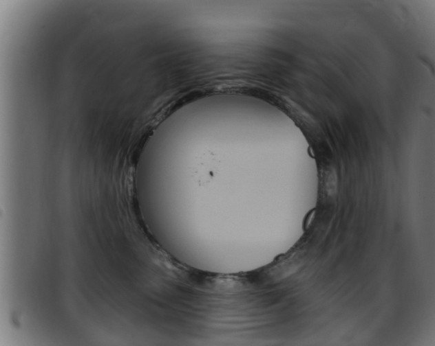 X0000097790475200803070939