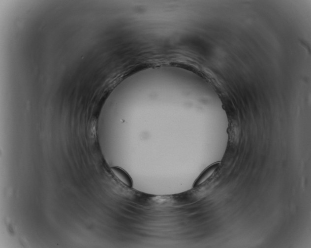 X0000097790477200803070939