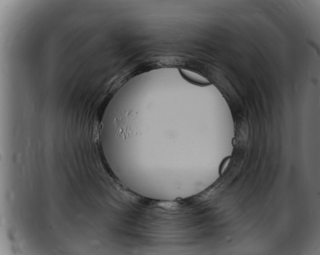 X0000097790478200803070939