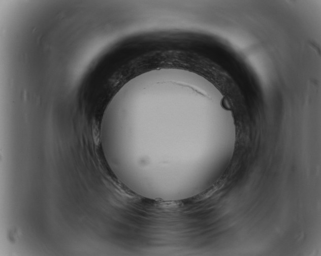 X0000097790479200803070939