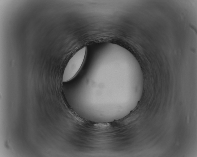 X0000097790480200803070939