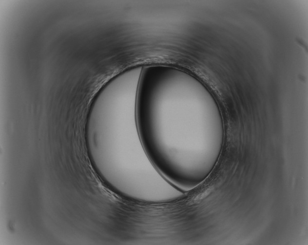 X0000097790481200803070939