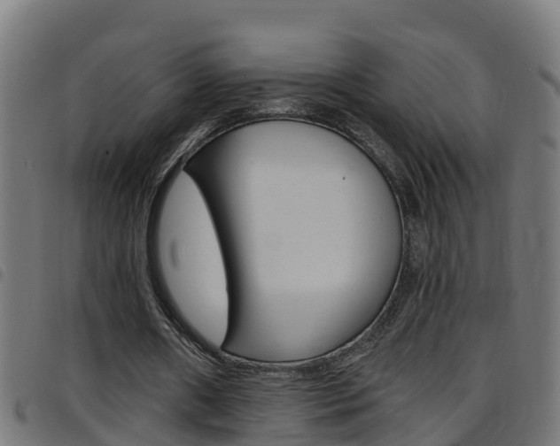 X0000097790482200803070939