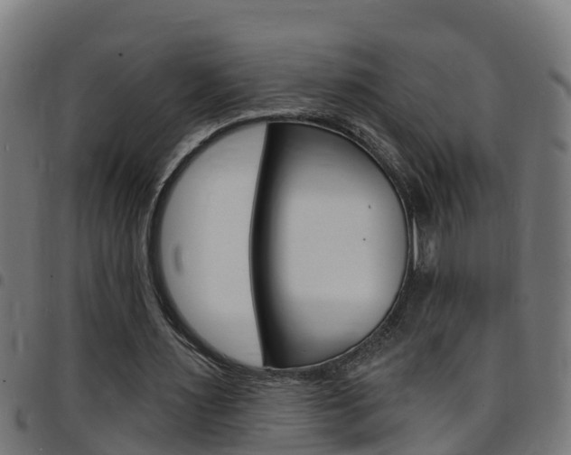 X0000097790483200803070939