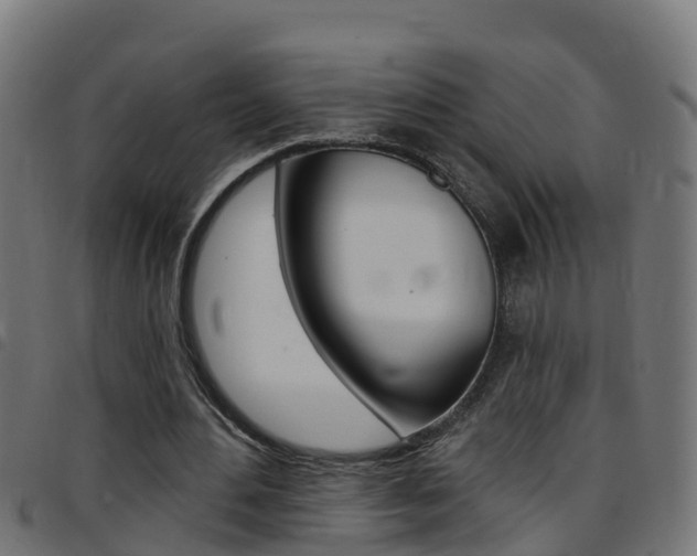 X0000097790484200803070939
