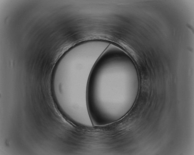 X0000097790485200803070939