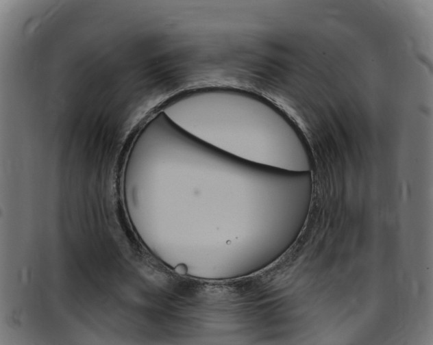 X0000097790487200803070939