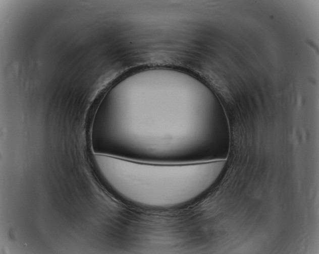 X0000097790488200803070939