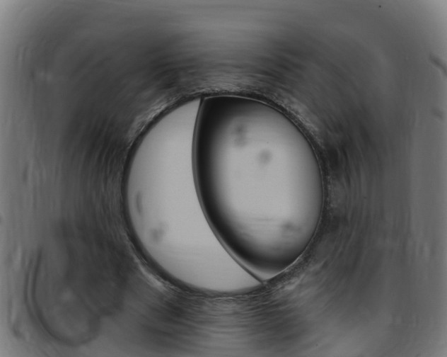 X0000097790489200803070939