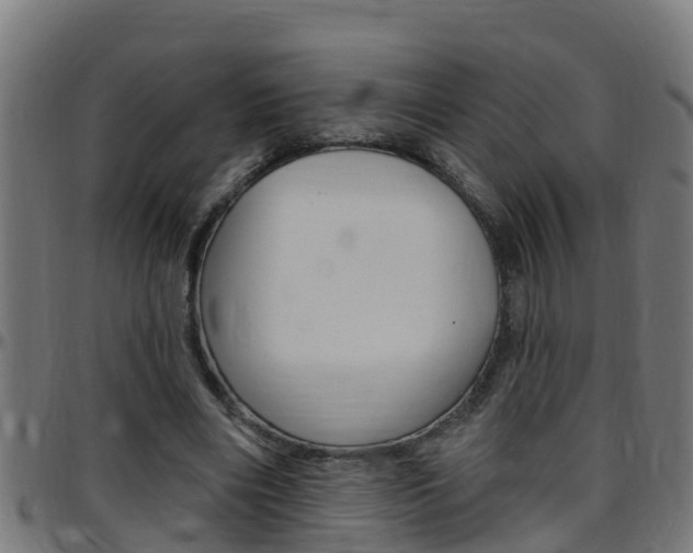 X0000097790490200803070939