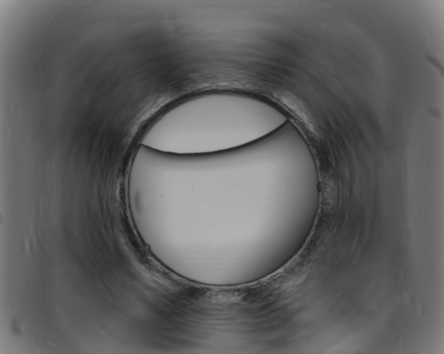 X0000097790491200803070939