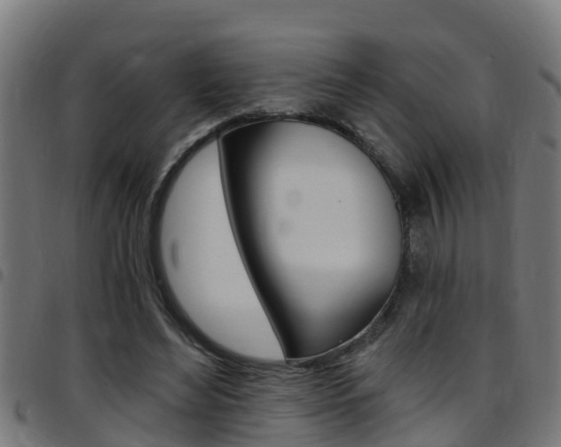 X0000097790492200803070939