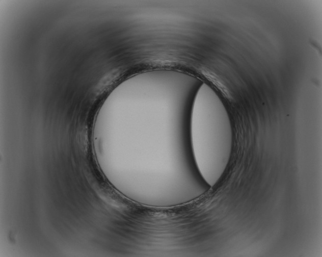 X0000097790494200803070939