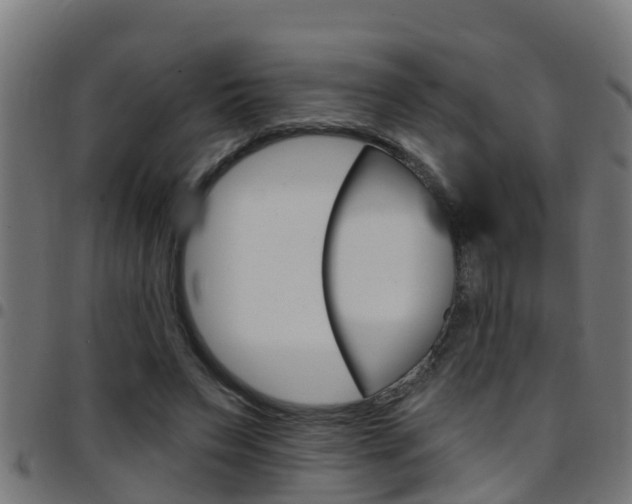 X0000097790495200803070938