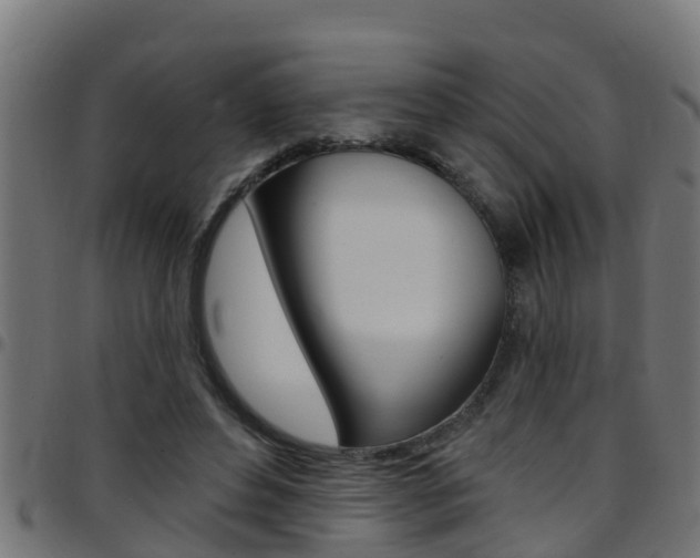 X0000097790496200803070938