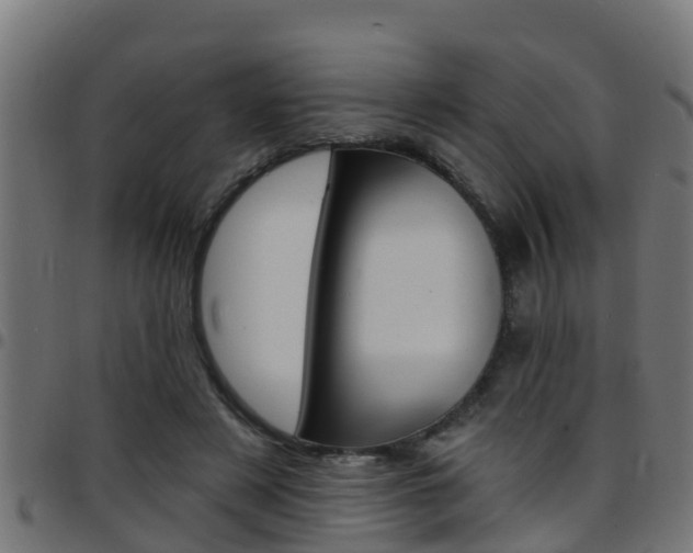 X0000097790497200803070938