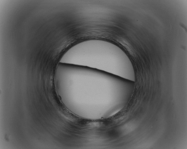 X0000097790499200803070938