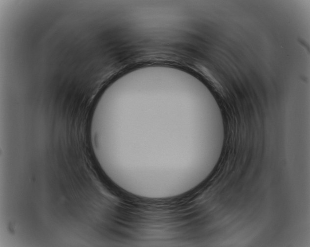 X0000097790500200803070938