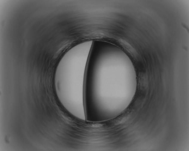 X0000097790501200803070938