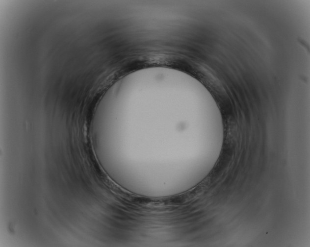 X0000097790502200803070938