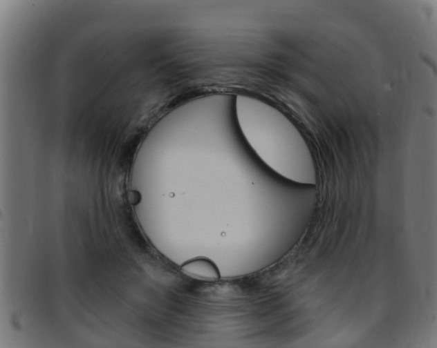 X0000097790503200803070938