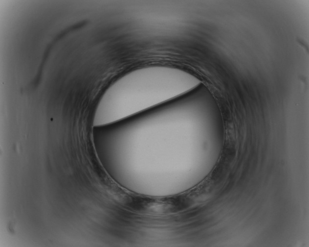 X0000097790504200803070938