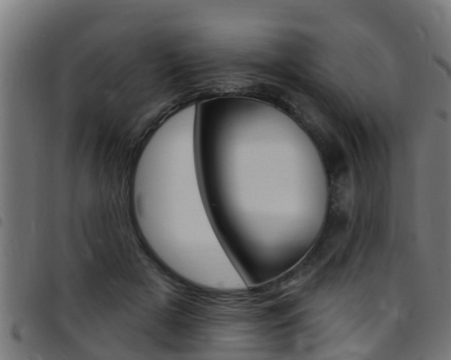 X0000097790505200803070938