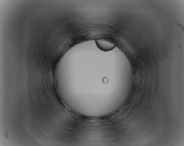 X0000097790506200803070938