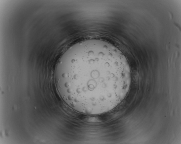 X0000097790507200803070938