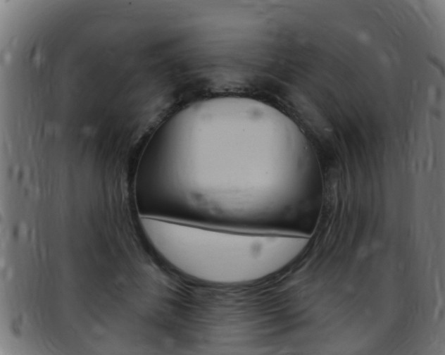 X0000097790508200803070938