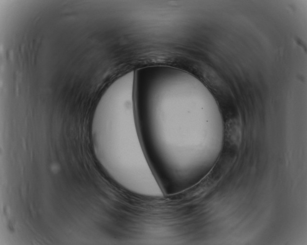 X0000097790509200803070938