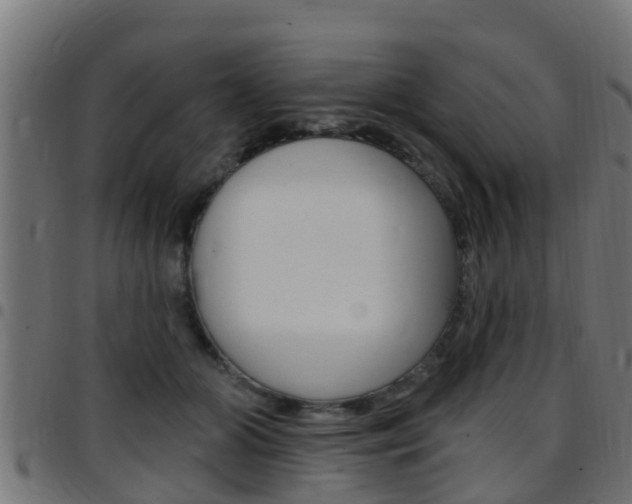 X0000097790510200803070938