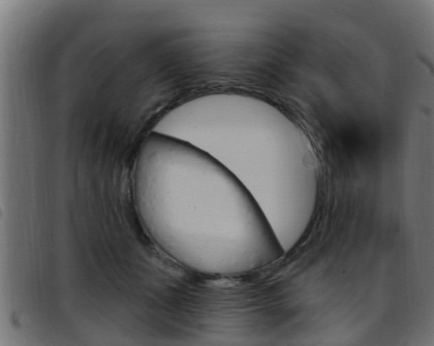 X0000097790511200803070938